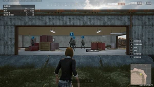 альтернативное название картинки