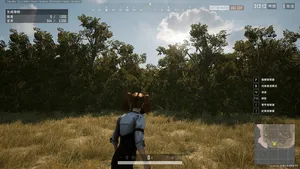 альтернативное название картинки