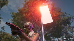 альтернативное название картинки